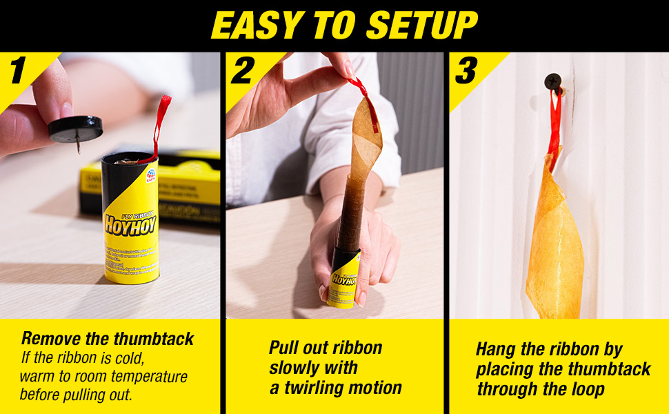 EASY TO SETUP