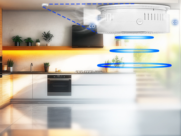 carbon monoxide detector