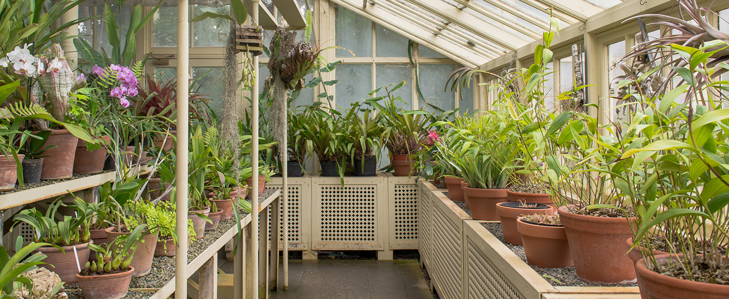 mini digital thermometer and hygrometer