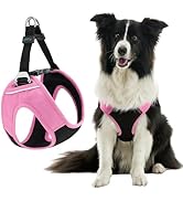 Gooby Escape Free Easy Fit Plus Harness - Flamingo Pink, Medium - Safe and Escape Free Dog Harnes...