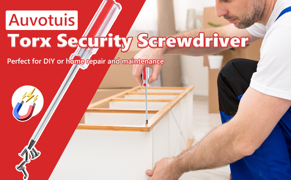 torx screwdriver