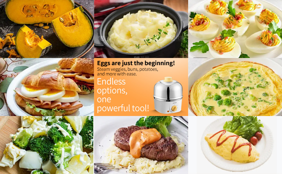 304 Stainless Steel Egg Cooker