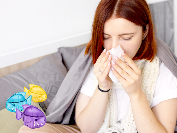 Enhance the air quality in your surroundings