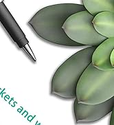 15V AC DC Power Supply Adapter 15Volt 2 Amp Charger DC