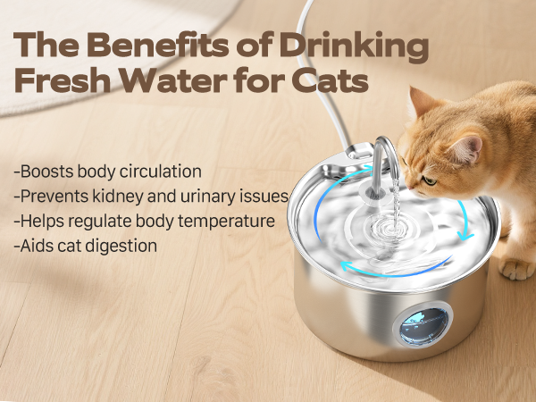 automatic water dispenser for cats, cat drinking fountains, pet water fountain for cats, cat water
