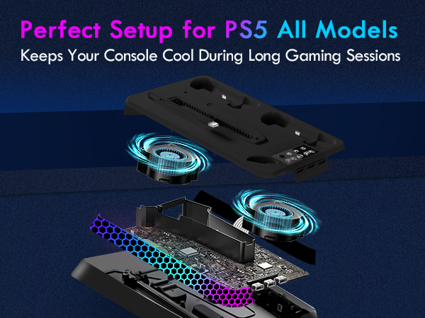 Perfect Setup for PS5 All Models