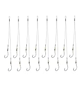 Fishing Hook and Leader