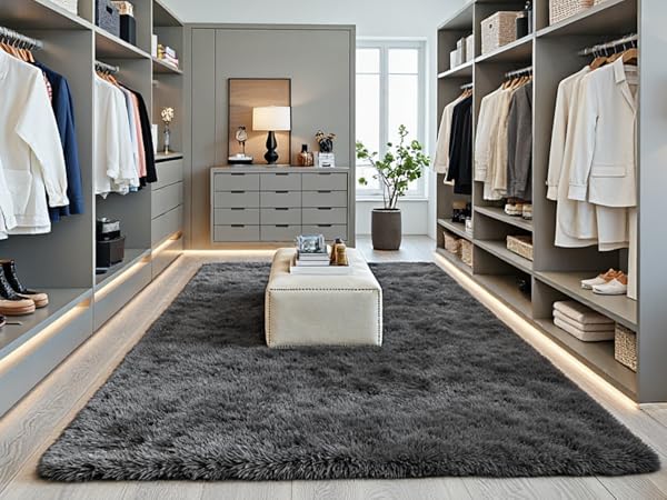 Area Rugs for Living Room