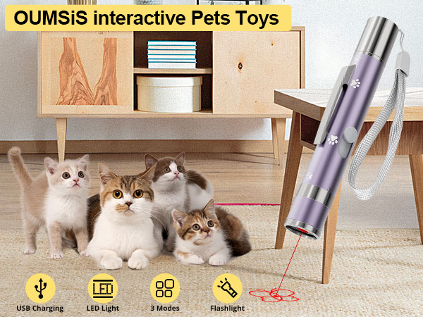 cat toys