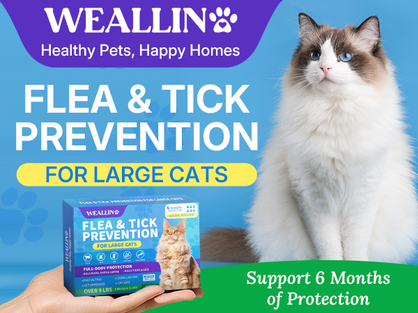 flea and tick prevention for cats