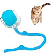 Interactive Cat Toy Ball Automatic Rolling Smart Cat Ball with Tail Motion Activated USB Recharge...