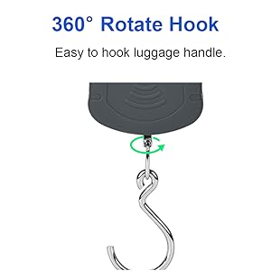 hanging hook scale