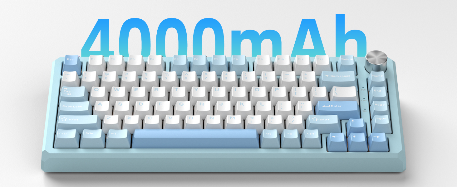 Large Capacity Battery 