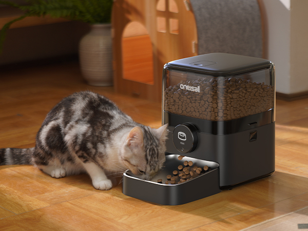 Automatic cat feeder