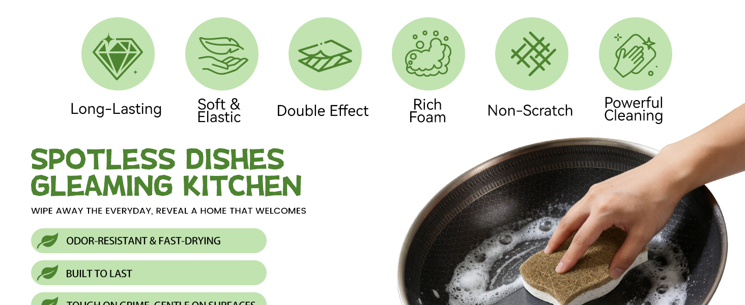 kitchen sponge