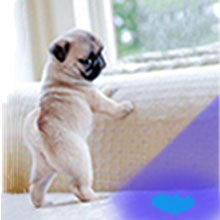 uv flashlight for pet urine