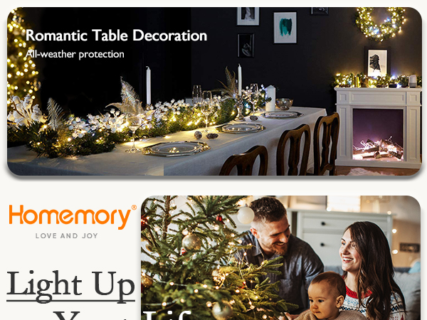 led fairy lights