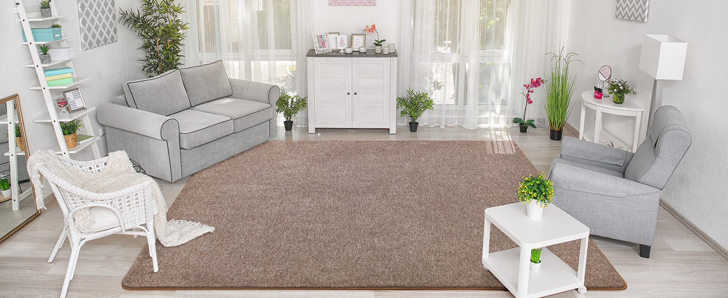 Brown Living Room Rug