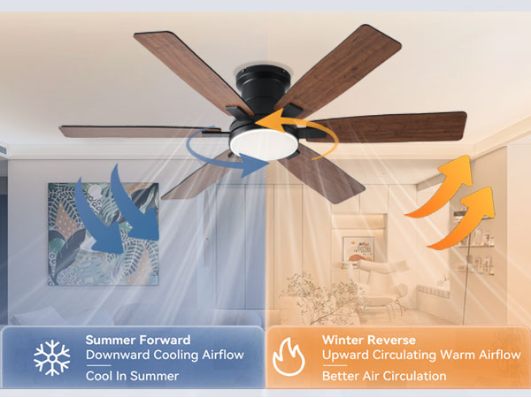 Ceiling Fans with Lights