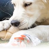 Wahl USA 4-in-1 Calming Pet Shampoo for Dogs – Cleans, Conditions, Detangles, &amp; Moisturizes with ...
