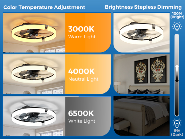 low profile ceiling fan with light