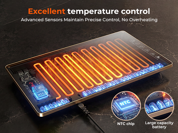 electric warming trays for food