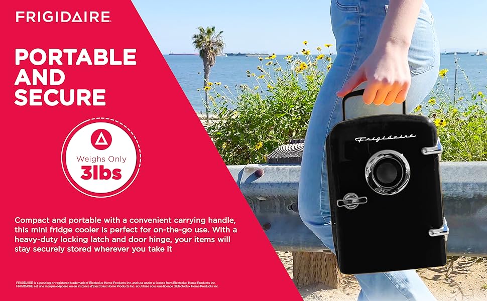 mini fridge cooler