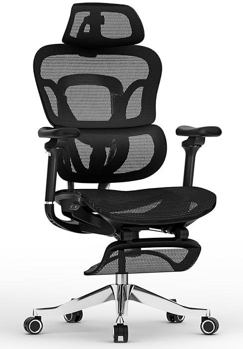 FlexiSpot ErgoX MAX