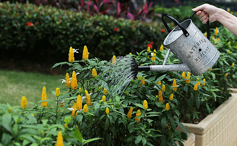 watering can for outdoor