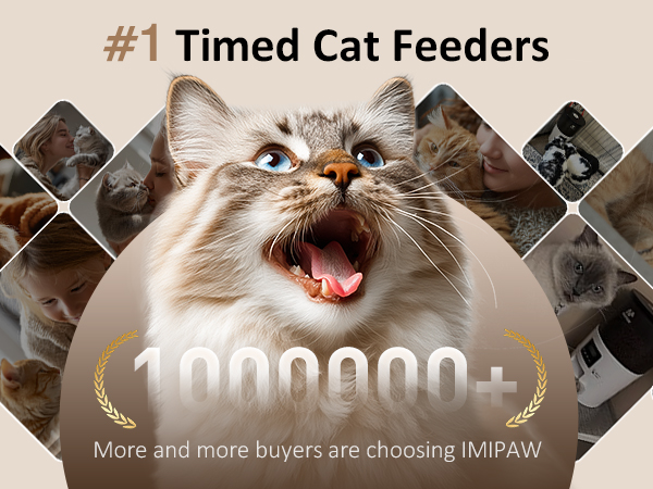 automatic cat feeder