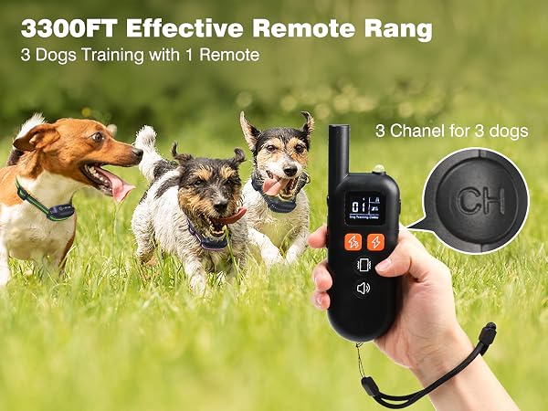 ecollars for dog training three pack