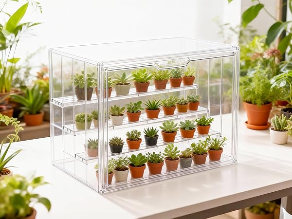 Small Greenhouse