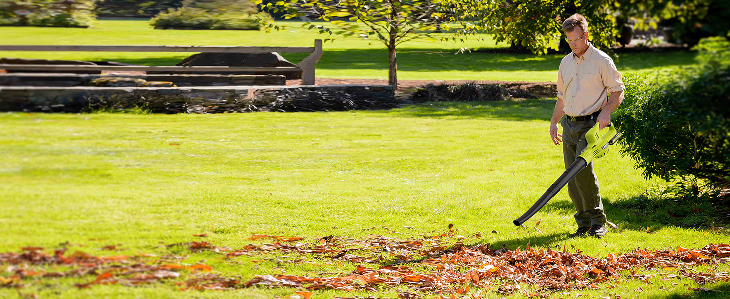 Leaf Blower with 2 Batteries and Charger