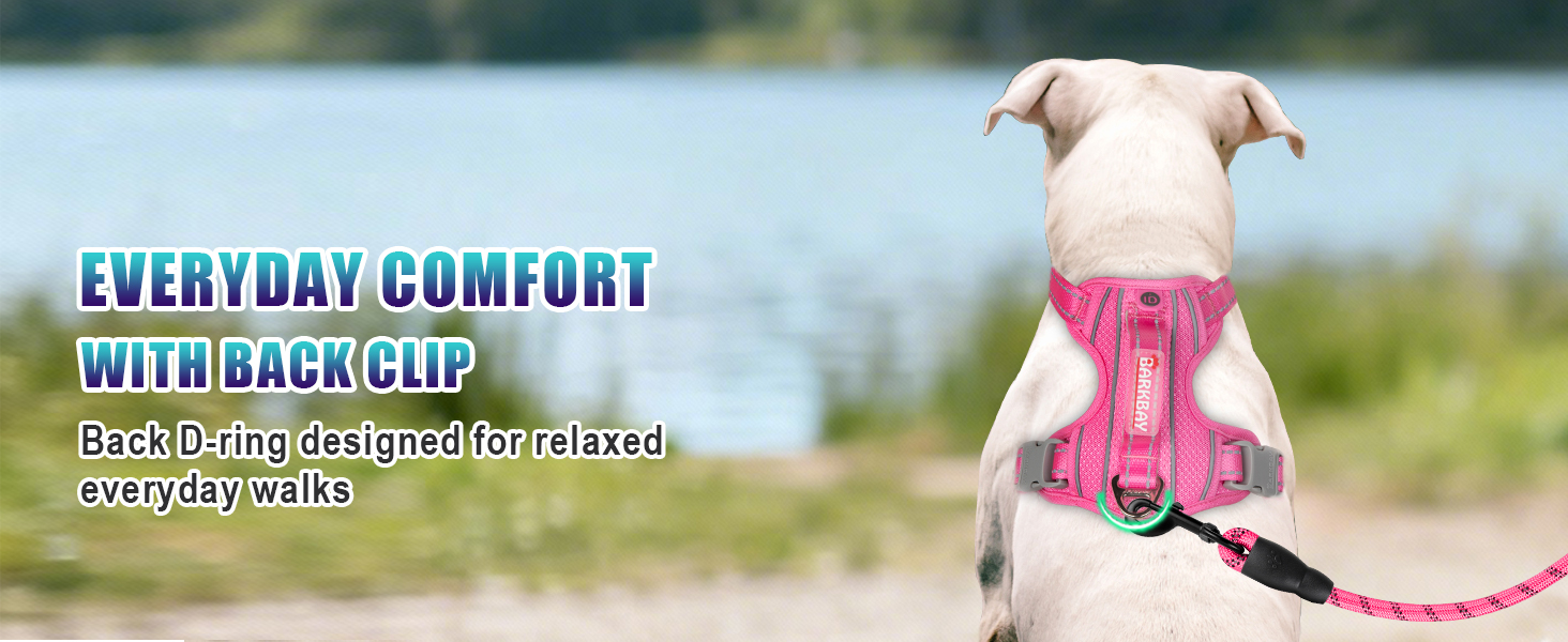 Back D ring on no pull dog harness dog collars harnesses leashes dog car harness voyager dog harness