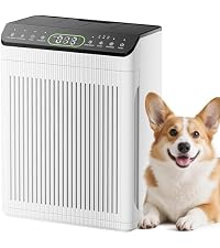 https://m.media-amazon.com/images/I/41WSLd9RH8L.__AC_SR200,225___.jpg