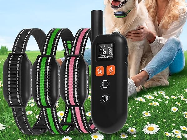 shock collar for small dogs 3 pack