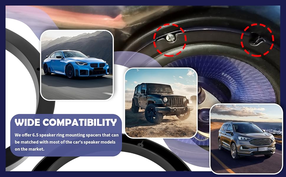 SCOPE OF APPLICATION