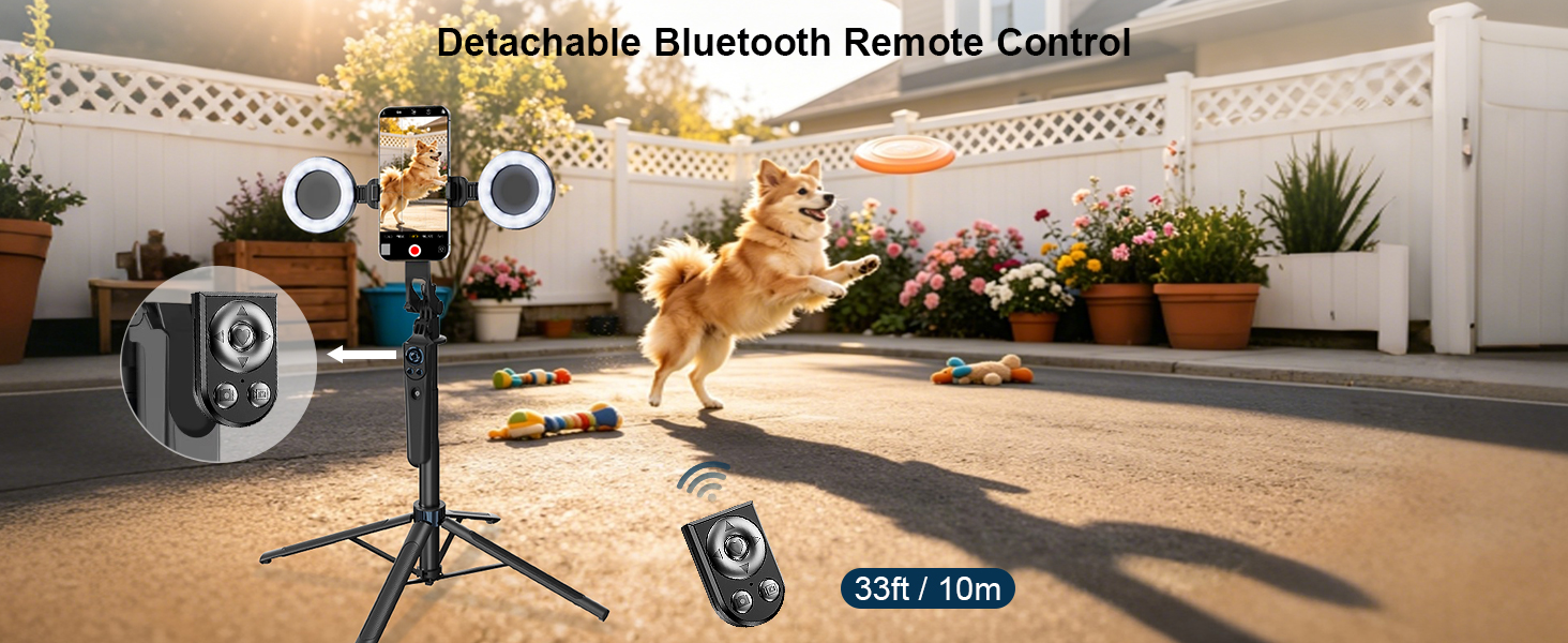 phone stand with remote