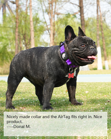 AirTag dog collar