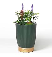 Earnest Living Essential Oil Diffuser Ceramic Artificial Succulent Plants Potted Diffuser 100 ml ...