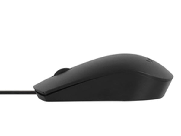 Ergonomic Comfort