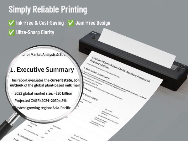 Portable Themal Printer