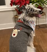 TENGZHI Dog Christmas Sweater Pet Costume XXS Cat Ugly Christmas Sweater Fall Puppy Jumper Dog Ou...