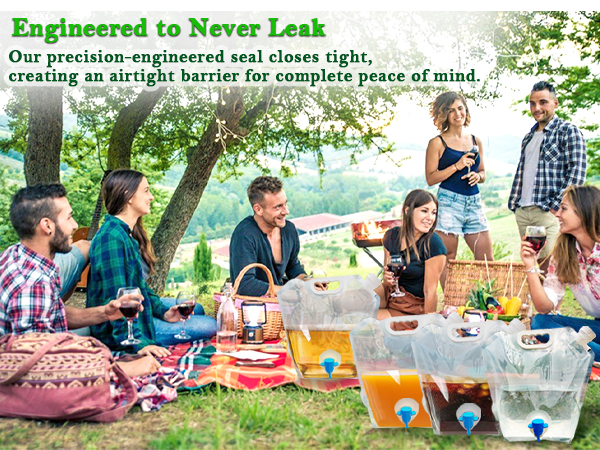 Collapsible Water Container Bag