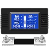 DC Multifunction Battery Monitor Meter,0-200V,0-100A (Widely Applied to 12V/24V/48V RV/Car Batter...