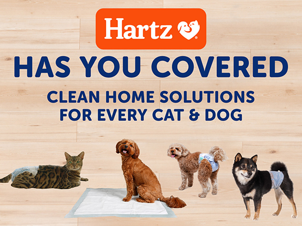 Home Clean Solutions