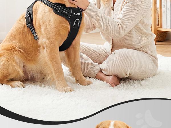 Close-up of carpet or rug surface with curved black line design element in corner. Partial view of pet and person sitting on carpet.
