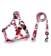 rose flowers dog harness and leash set