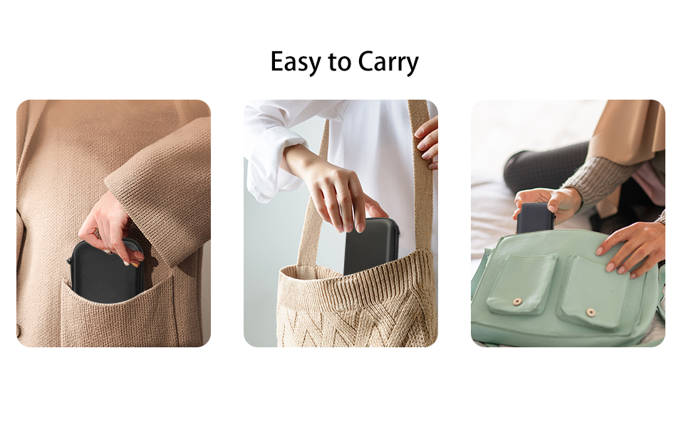 gameboy advance carrying case