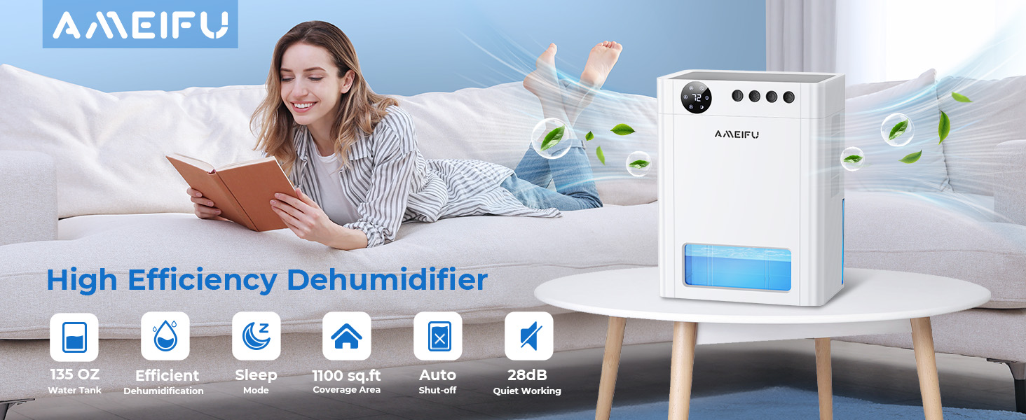 Dehumidifier